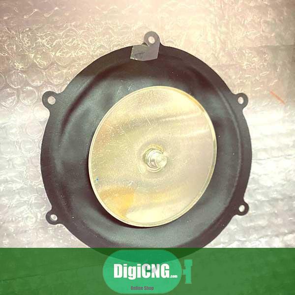 پرده گاز رگلاتور DigiCNG
